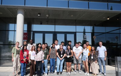 First edition of the IDEAL PhD Summer School at IMDEA Nanociencia